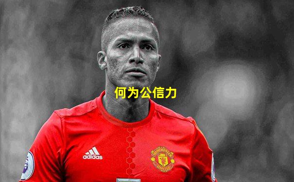 何为公信力