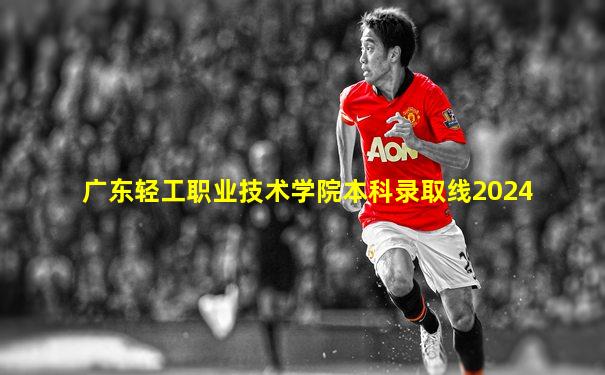 广东轻工职业技术学院本科录取线2024